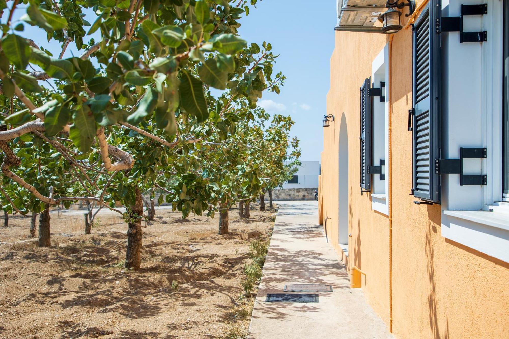 Vila Nick'S House Aegina Exteriér fotografie
